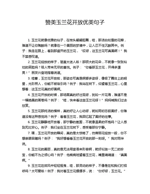 赞美玉兰花开放优美句子