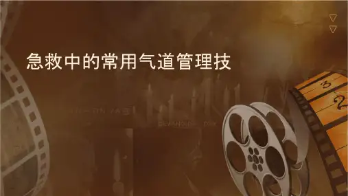 急救中的常用气道管理技术课件