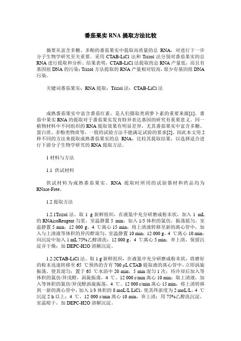 番茄果实RNA提取方法比较