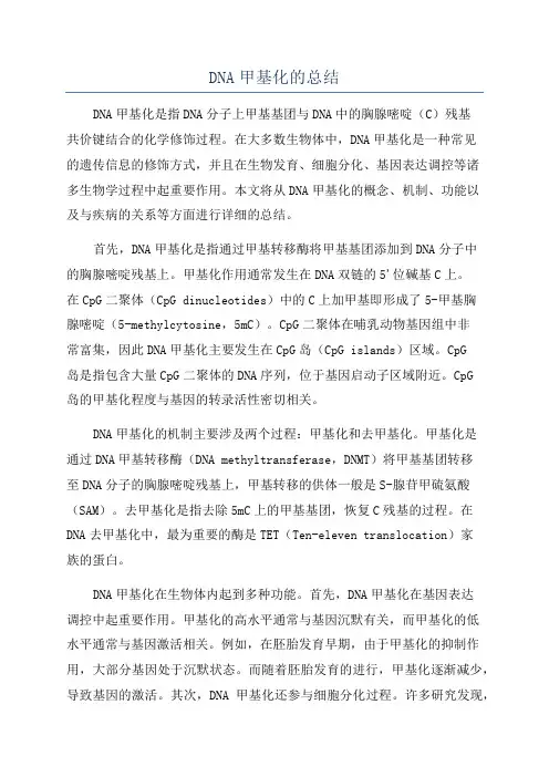DNA甲基化的总结