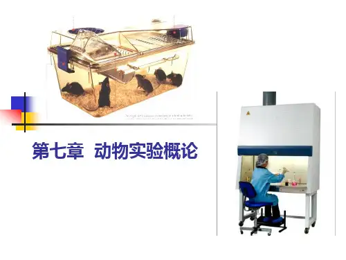第七章动物实验概论