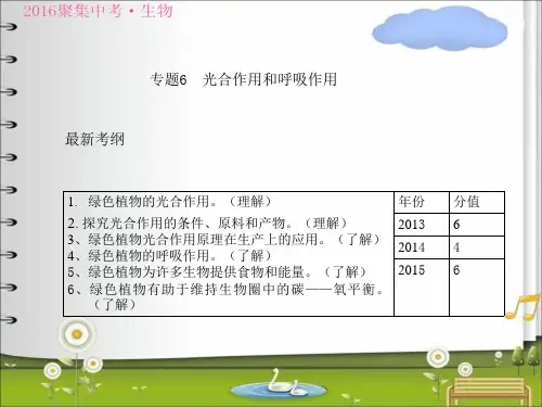 2018年聚焦中考初中生物中考复习课件--专题6--光合作用和呼吸作用(共33张PPT)