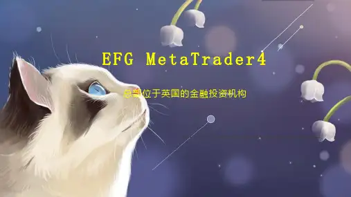 EFG MetaTrader4