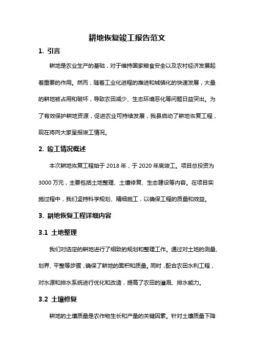 耕地恢复竣工报告范文