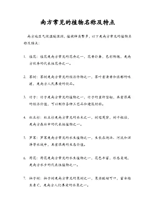 南方常见的植物名称及特点