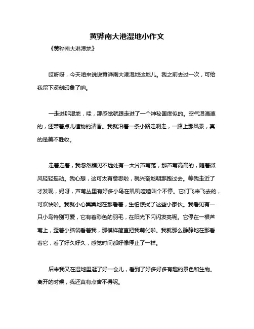 黄骅南大港湿地小作文