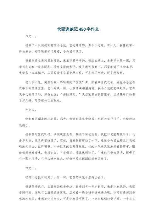 仓鼠逃跑记450字作文