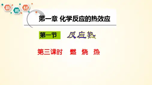 燃烧热高二化学精美课件(人教版2019选择性必修1)