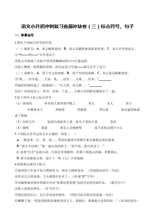 人教新课标六年级下册语文试题--小升初冲刺复习查漏补缺卷(三)标点符号、句子(含解析)