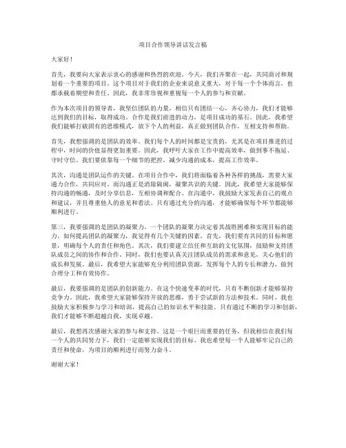 项目合作领导讲话发言稿