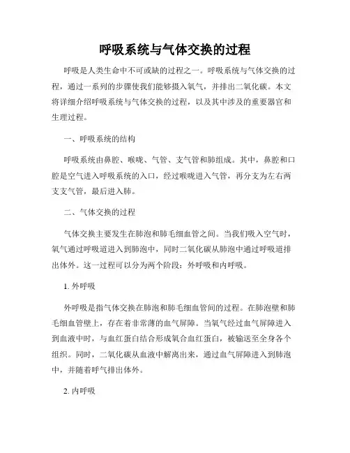 呼吸系统与气体交换的过程