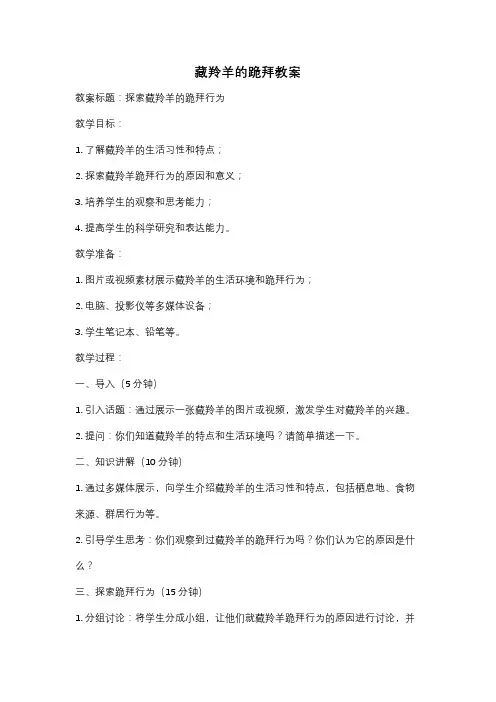 藏羚羊的跪拜教案