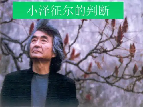 19课——小泽征尔的判断PPT(S版)