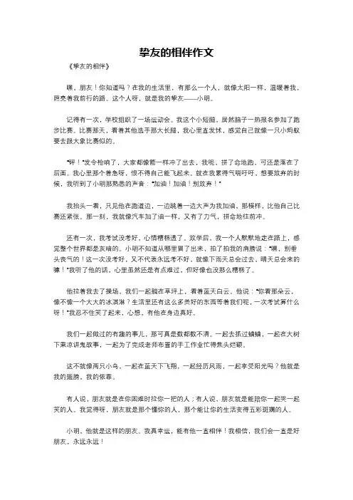 挚友的相伴作文