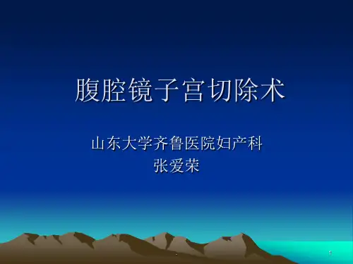 腹腔镜子宫切除术ppt演示课件