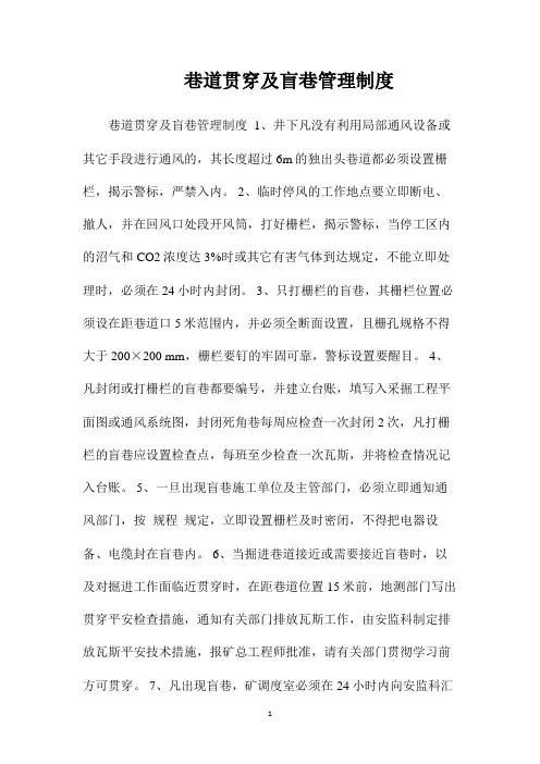 最新整理巷道贯通及盲巷管理制度