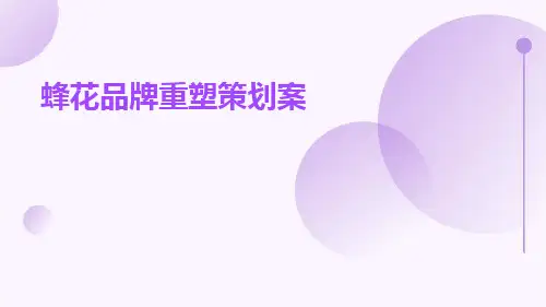 蜂花品牌重塑策划案ppt课件