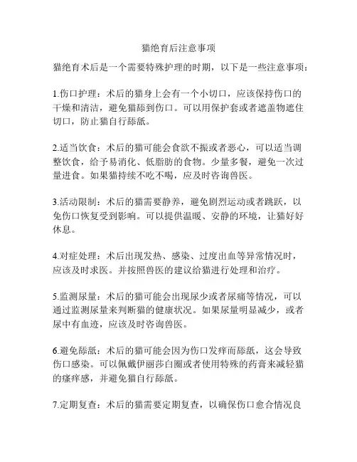 猫绝育后注意事项