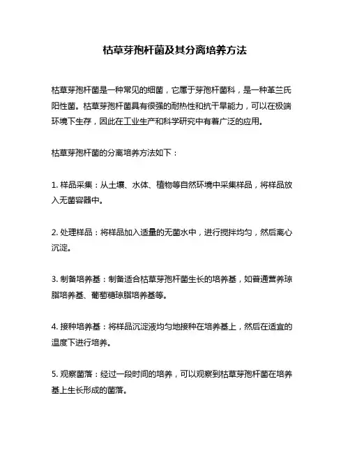 枯草芽孢杆菌及其分离培养方法