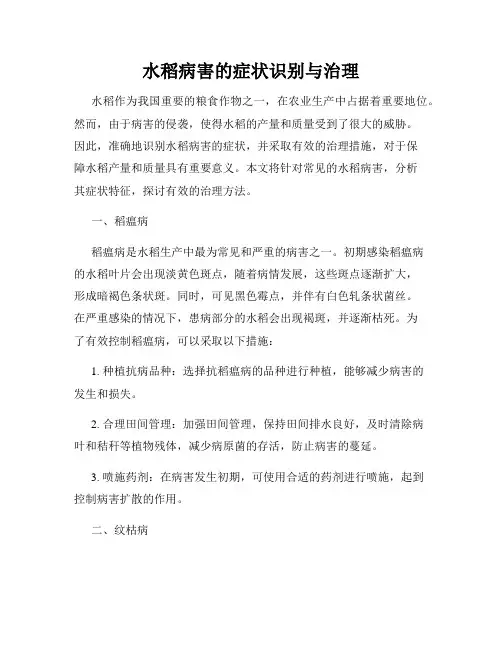 水稻病害的症状识别与治理