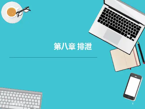 肾的排泄ppt课件