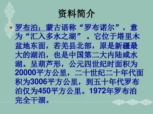 罗布泊-消逝的仙湖课件1