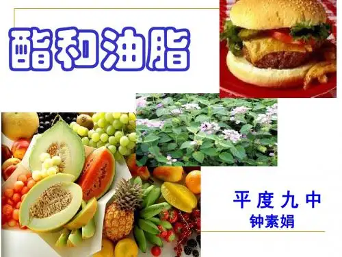酯和油脂