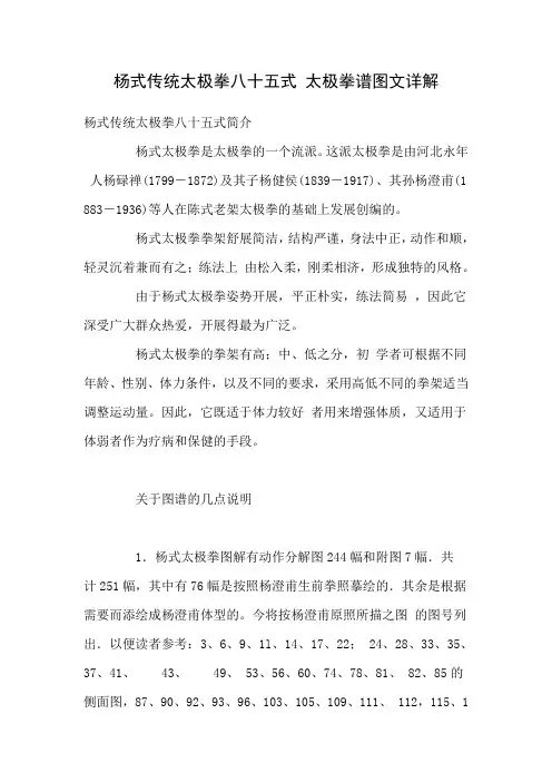 杨式传统太极拳八十五式太极拳谱图文详解资料