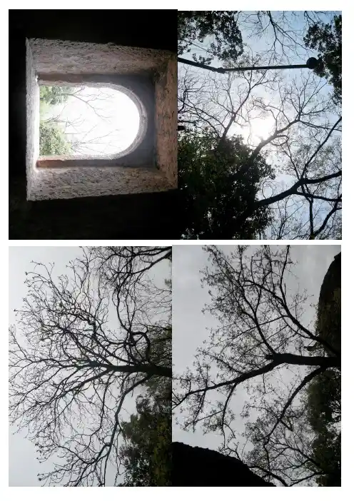 公选课摄影鉴赏个人作业