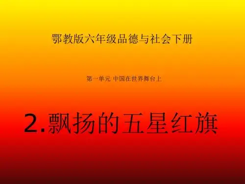 《飘扬的五星红旗》课件5