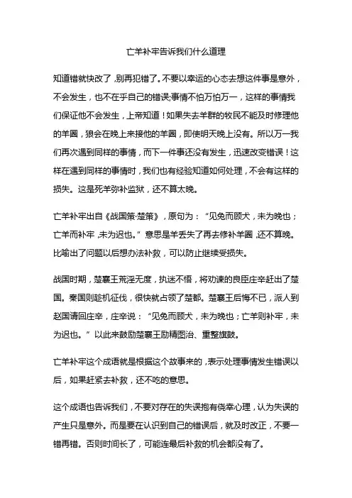 亡羊补牢告诉我们什么道理