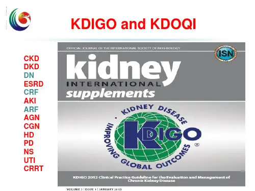 ckdkdigo指南 ppt课件共59页
