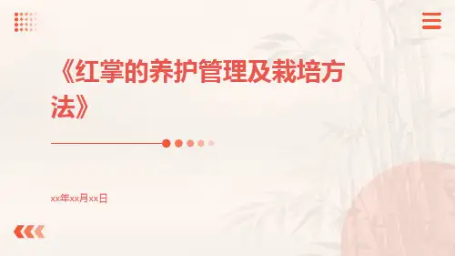 红掌的养护管理及栽培方法
