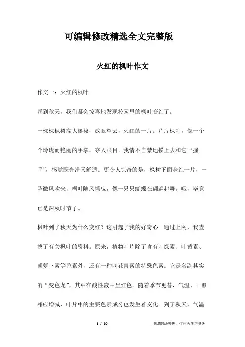 【2024版】火红的枫叶作文
