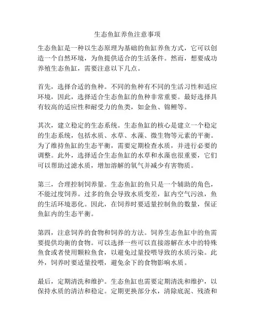 生态鱼缸养鱼注意事项