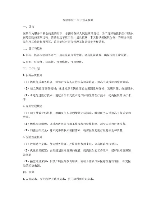 医院年度工作计划及预算