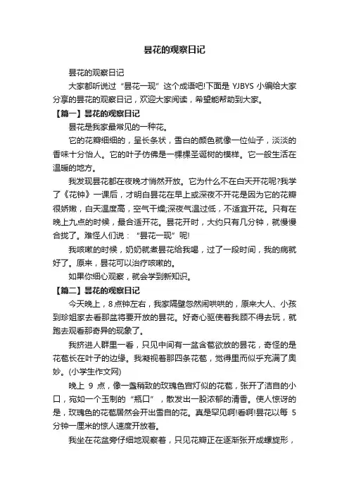 昙花的观察日记