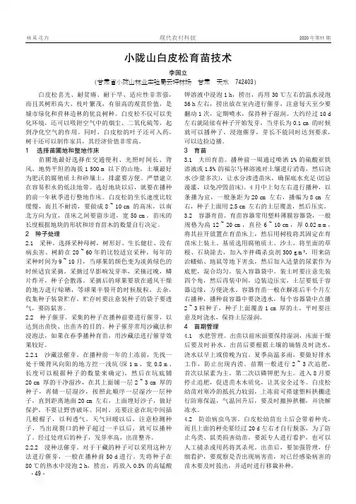 小陇山白皮松育苗技术