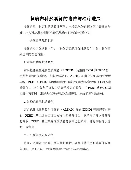 肾病内科多囊肾的遗传与治疗进展