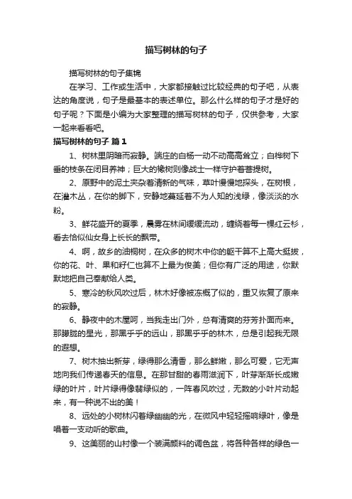 描写树林的句子