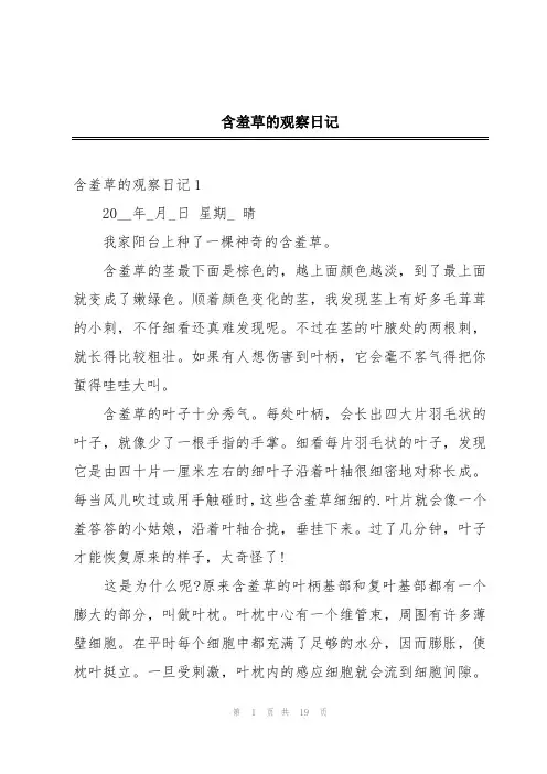含羞草的观察日记