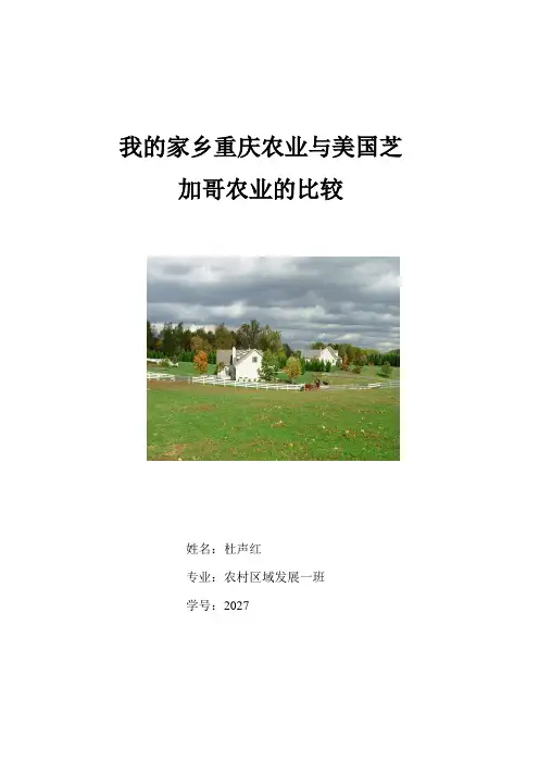 我的家乡重庆农业与美国芝加哥农业的比较-世界农业期末论文