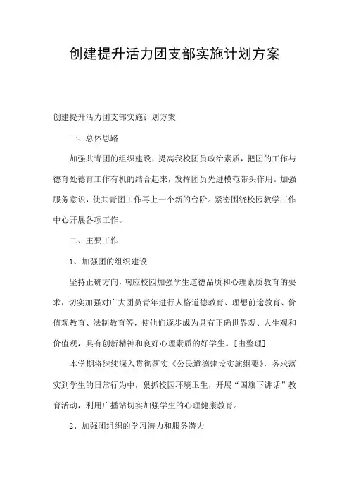 创建提升活力团支部实施计划方案