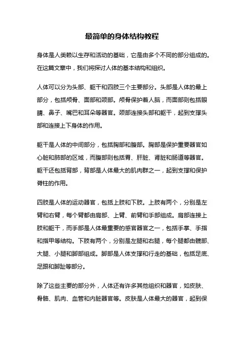 最简单的身体结构教程