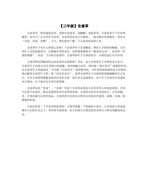 【三年级】含羞草