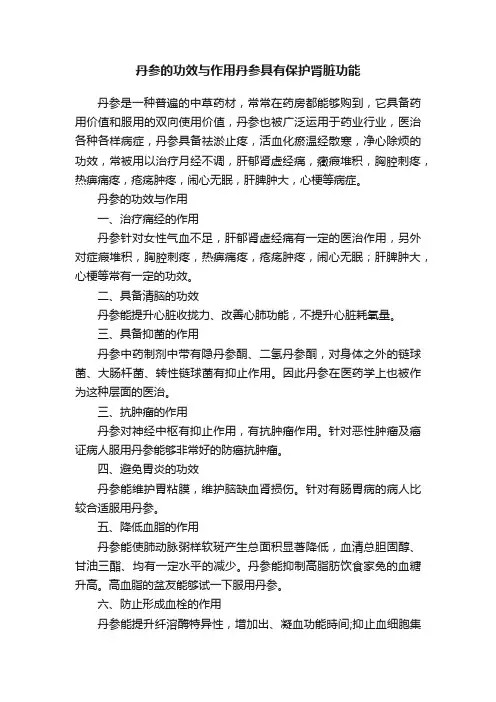丹参的功效与作用丹参具有保护肾脏功能