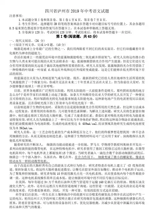 《精品》2019年四川省泸州市中考语文试题(WORD版,含答案)