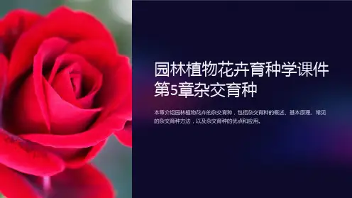 园林植物花卉育种学课件第5章杂交育种