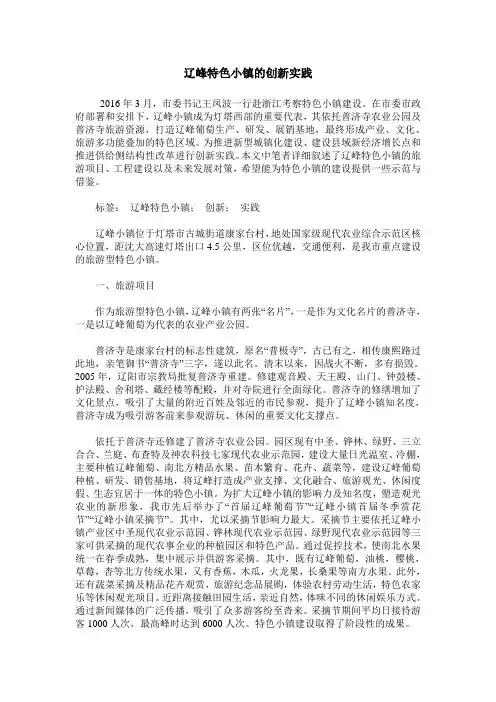 辽峰特色小镇的创新实践