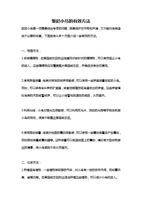 驱赶小鸟的有效方法